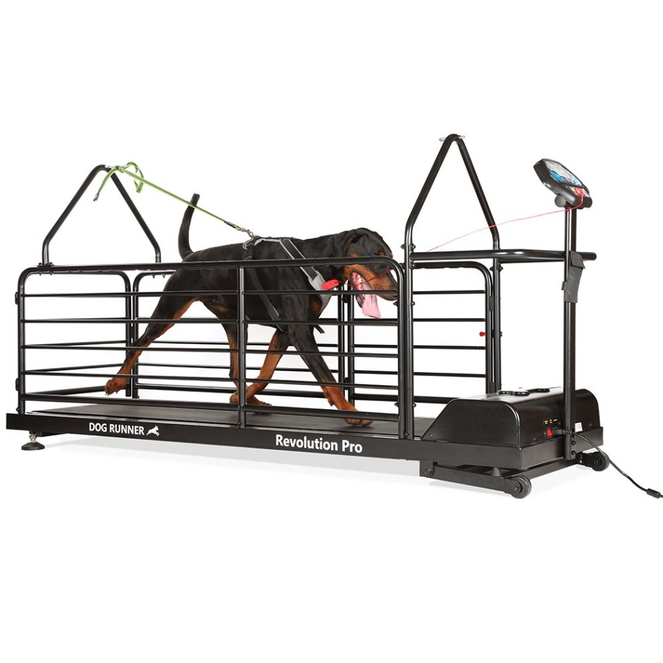 Dog Runner DR-REVOLUTION-PRO na wynajem – zdjęcie 4