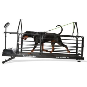 Bieżnia dla psów – Dog Runner – Revolution Pro – Dog Runner – wynajem – wynajem FizjoNaWynos.pl