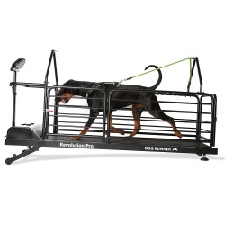 Dog Runner DR-REVOLUTION-PRO na wynajem – zdjęcie 5