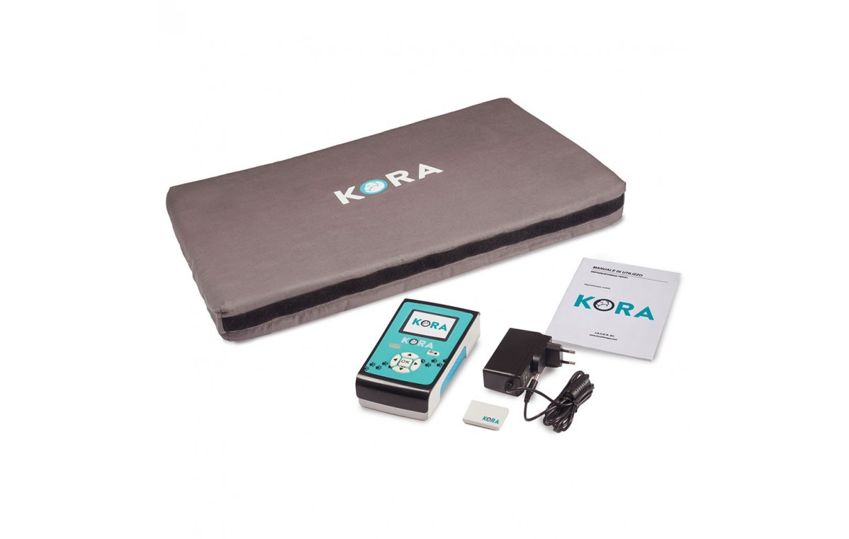 Przenośny, weterynaryjny zestaw do magnetoterapii Kora Basic Kit – wynajem